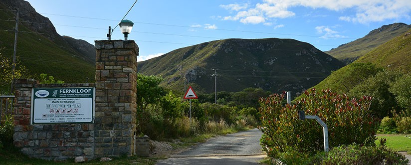 Fernkloof Nature Reserve