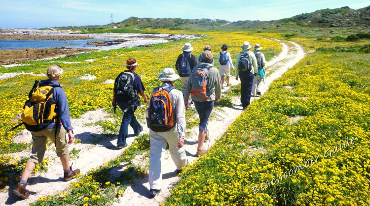 Greater Gansbaai Hiking