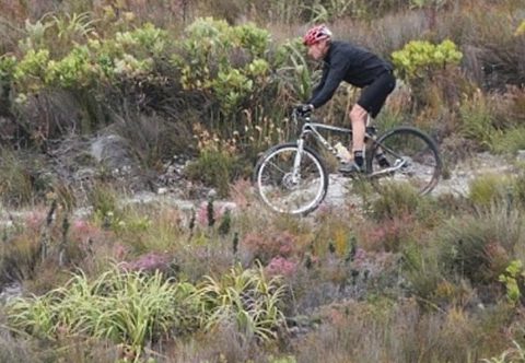 Gansbaai Biking