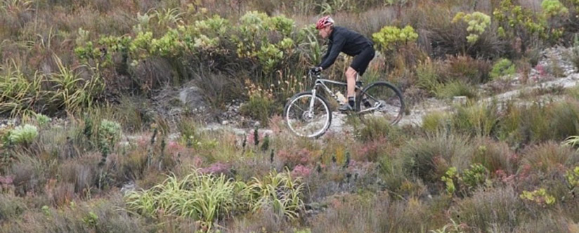 Gansbaai Biking