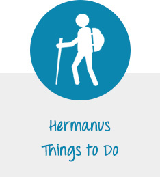 Hermanus Attractions